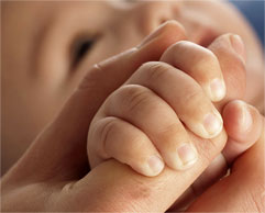 Egg Donors